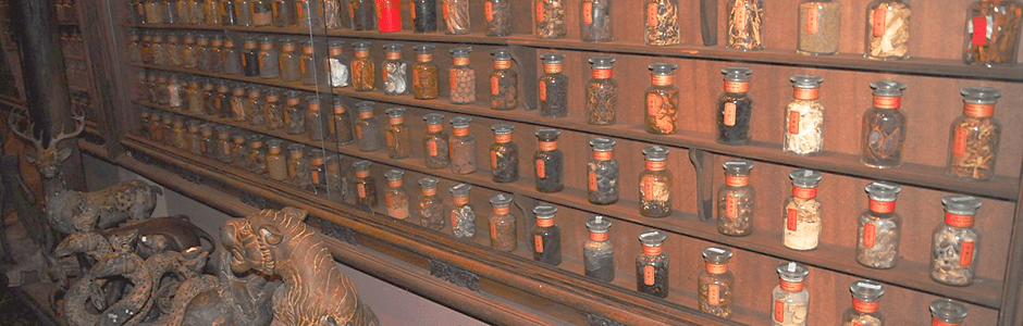 fito-museum-collection