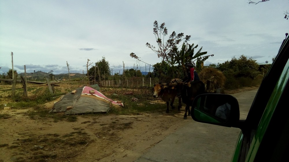 Chemin de charrette vers Kon Kotu